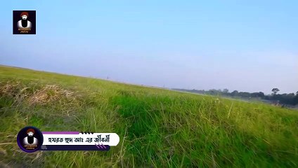হযরত হুদ আঃ এর জীবনী  Hazrat Hud Alaihis Salam Story  Monishider Jiboni