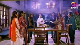 Pakistani Drama | Dil-e-Bekhabar - Episode 5 | Aplus Gold | Adeel Chaudhry, Arij Fatyma