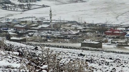 Doğu Anadolu'da kar ve soğuk hava etkili oluyor