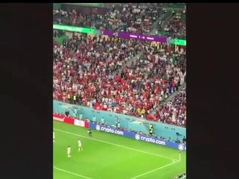 Man Storms World Cup Field Wearing Save Ukraine T-shirt, Waving Palestinian Flag