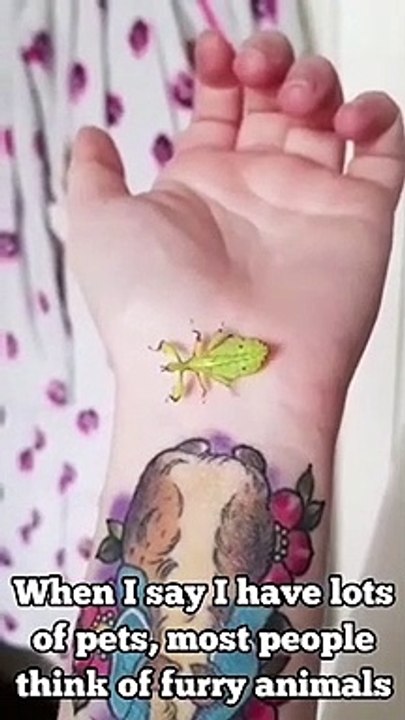 Ses animaux de compagnie sont plutôt  insolites