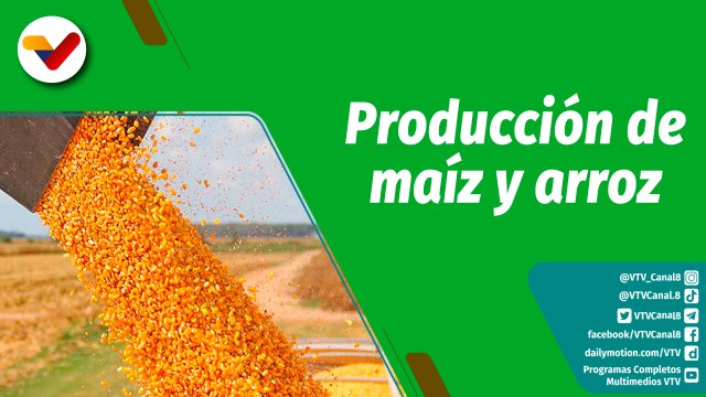 Cultivando Patria | Enasa en Portuguesa incrementa y garantiza la producción de maíz y arroz