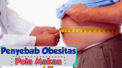 6 Penyebab Obesitas salah satunya adalah dari Pola Makan yang harus kita ketahui