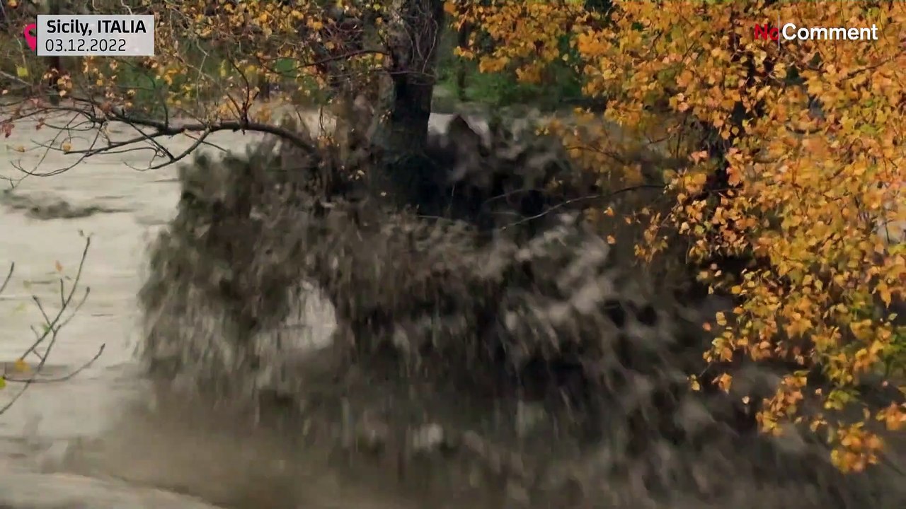Submerged cars and flooded streets after heavy rain in Sicily