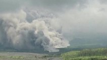 Indonesia: Mount Semeru volcano eruption spews ash 50,000ft into the sky