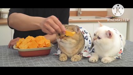 How To Crispy Potato Chips Homemade Recipe [ASMR] Perfect Potato Chips at Home|#asmr #potato #potatochips #usa   [Eating sound]
