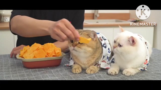 How To Crispy Potato Chips Homemade Recipe [ASMR] Perfect Potato Chips at Home|#asmr #potato #potatochips #usa [Eating sound]