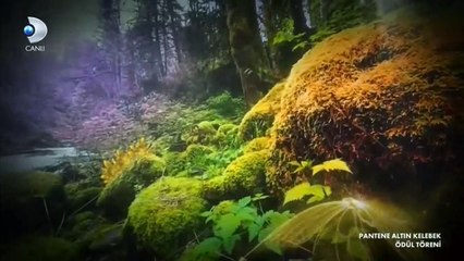 48. Pantene Altın Kelebek Ödülleri'nin Unutulmaz Yolculuğu ✨