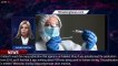 Covid-19 PCR Tests Being Used To Clone Humans? Here Are Unfounded Claims - 1BREAKINGNEWS.COM