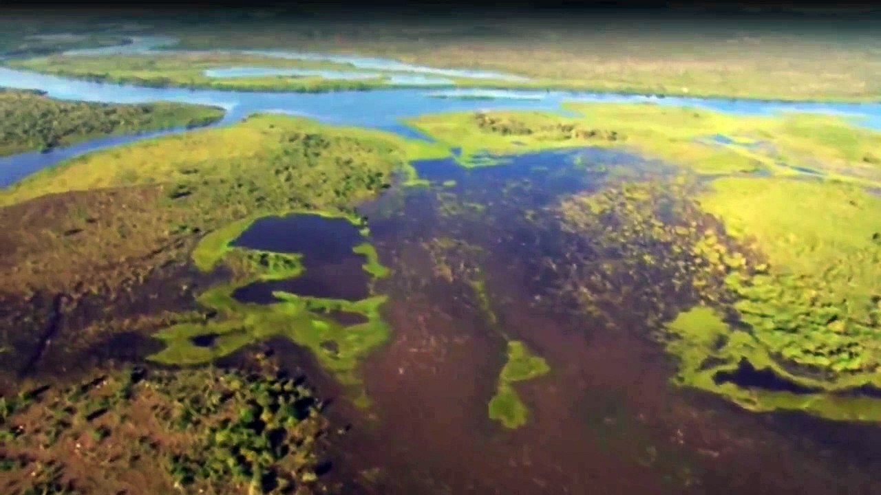 Wilde Tierbabys Staffel 1 Folge 2 HD Deutsch