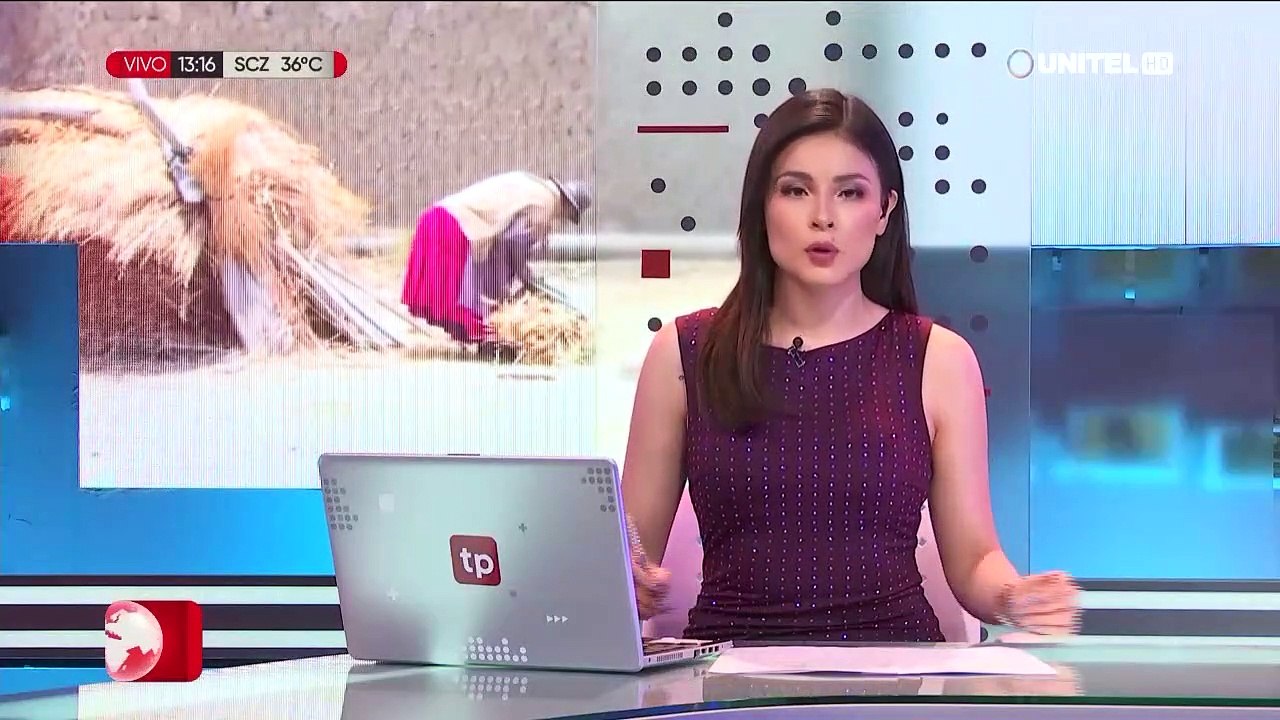 Con baldes y una carreterilla, así luchan en Tacachira para que los sembradíos sobrevivan a la sequía