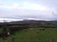 Fields of sheep by Slieve Snaght aka Sliabh Sneachta 'snow mountain', Donegal, Ireland