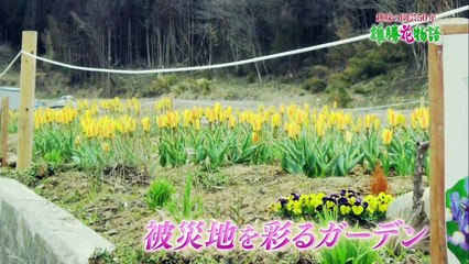 明日へつなげよう「趣味の園芸50年連動企画「奇跡のガーデン　雄勝花物語」 0310 201704021005