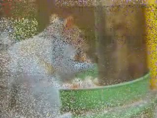 Mission Impossible Squirrel