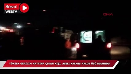 Elektrik direğinde korkunç görüntü! Gören polisi aradı