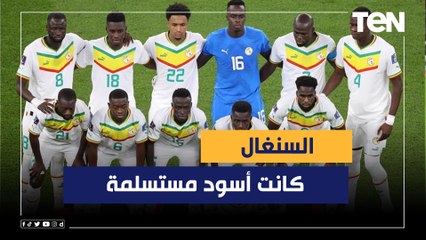 "السنغال كانت أسود مستسلمة".. مقدمة فاروق عن فوز إنجلترا على السنغال وفرنسا على بولندا