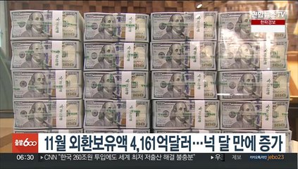 11월 외환보유액 4,161억달러…넉 달 만에 증가