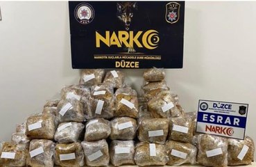 Kargo aracındaki valizlerde 65 kilogram esrar ele geçirildi