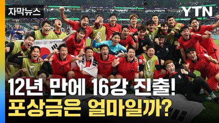 [자막뉴스] 무려 12년 만에 진출! 1인당 포상금은... / YTN