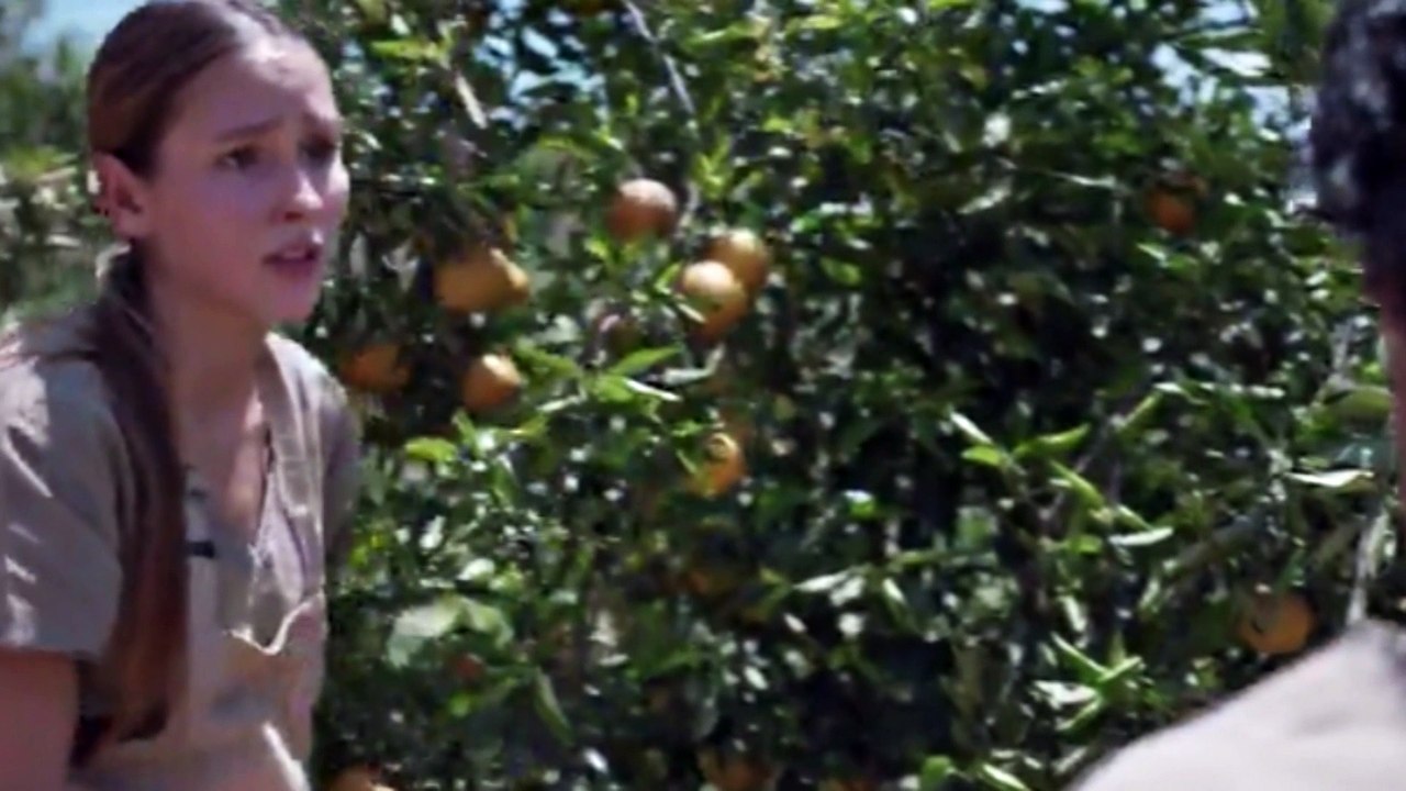 TODAS AS FLORES - Capítulo 35 Resumo Completo da Novela Todas as Flores
