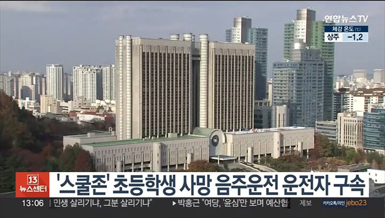 '스쿨존' 초등학생 사망 음주운전 운전자 구속