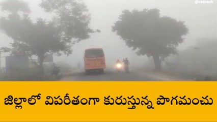 వరంగల్ ఈస్ట్: కమ్మేసిన పొగమంచు.. పలుచోట్ల ప్రమాదాలు..!