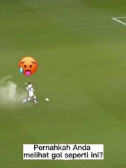 Have you ever seen a goal like this