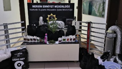 Özel düzenekle evde esrar yetiştirdiler