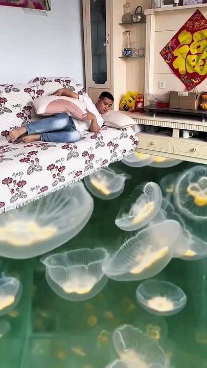 Bear To Step On The Jellyfish3D Special Effects _ 3D Animation #shorts #vfxhd