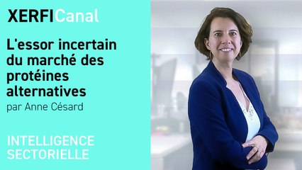 L'essor incertain du marché des protéines alternatives [Anne Césard]