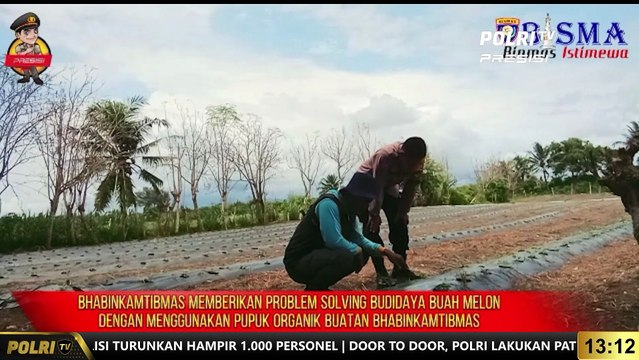 Bhabinkamtibmas Polres Kulonprogo Lakukan Pendampingan Petani Melon Dalam Penggunaan Pupuk Cair Organik Upaya Melestarikan Lingkungan