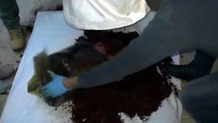 İsot çuvallarından uyuşturucu fışkırdı
