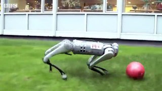 How mini Cheetah robot learns to play football - BBC News