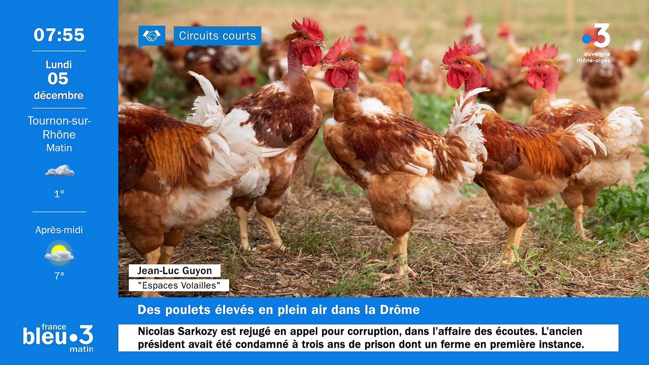 À Chabeuil, « Espace Volailles », des volailles élevées dans la Drôme prêtes à cuire