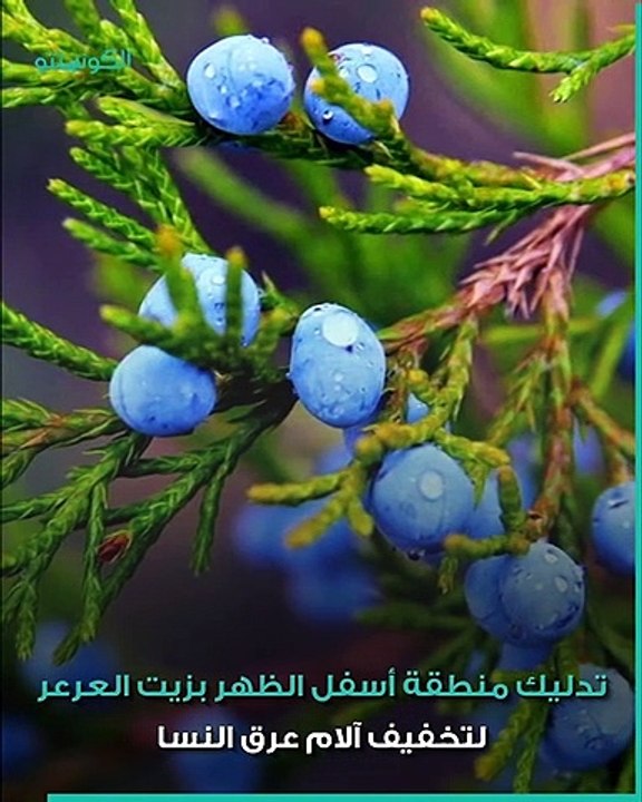 طرق طبيعية لعلاج آلام عرق النسا