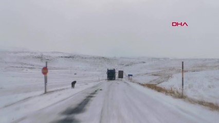 ARPAÇAY'DA YOLLAR BUZ TUTTU