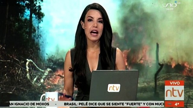 Ocho departamentos están afectados por los incendios