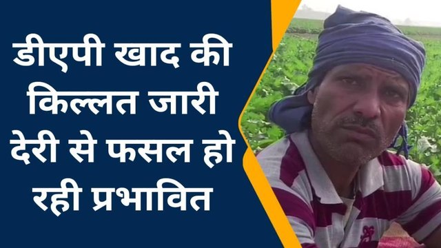 फर्रुखाबाद : डीएपी खाद न मिलने से प्रभावित हो रही फसल, किसान परेशान