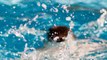 Turista mexicano fue hallado sin vida flotando en una piscina en un hotel de Cartagena