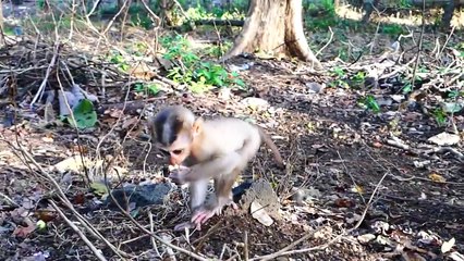 Sweet Mommy....Little Yuong Mother Leading Her Best Life With Marco So Sweetly