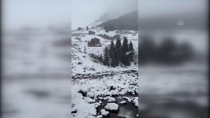 Fotoğraf sanatçısı kar yağışı altında derede yüzdü