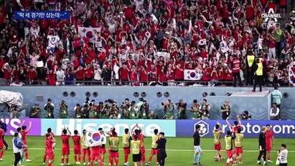 관중석 90% 브라질 응원단 선점…“일당백 응원전”