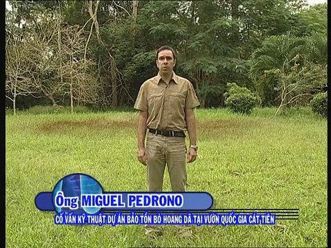 Dự án bảo tồn các loài bò hoang dã ở Vườn quốc gia Cát tiên 2006 - 2008. Wild Gaurs project in CTNP