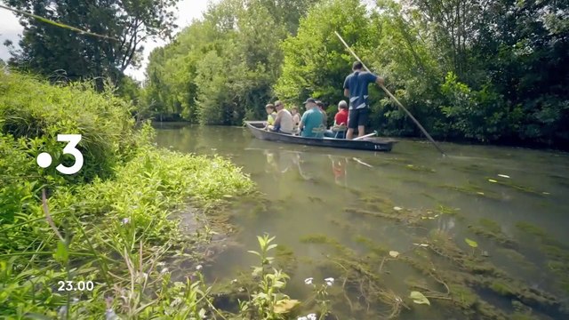 Julien, le marais et la libellule - 5 décembre