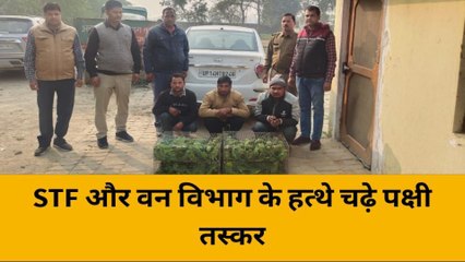 लखनऊ:STF और वन विभाग ने 3 पक्षी तस्कर दबोचे,देखिए वीडियो