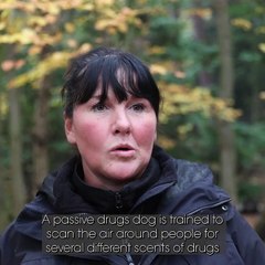 Homeless dog’s new lease of life fighting crime