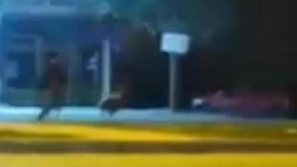 Elinden kaçtığı sahibini dakikalarca peşinde koşturdu!