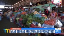 Productores advierten alza de precios  en productos de la canasta familiar y escasez de alimentos por extrema sequía en Santa Cruz