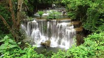 Beautiful Small Rainforest waterfall   Nature Sounds, Birds Chirping, Water Stream, Stress relief