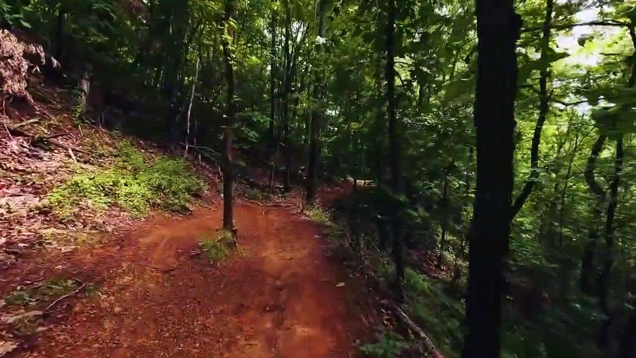 Peaceful Relaxing Music With Birds Singing   Nature Sounds for Sleep, Meditation, Relaxation